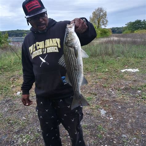 Omega Pond Fishing Reports🎣• East Providence Ri United States Fishing