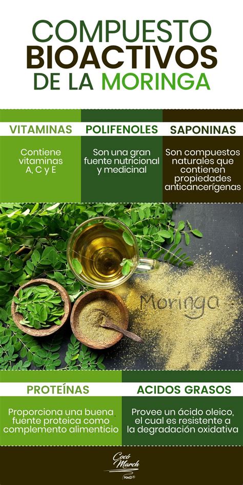 Propiedades De La Moringa Artofit