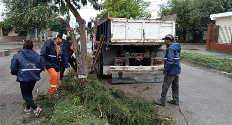 Intensifican las tareas de fumigación y desmalezado en la ciudad La