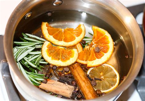 Homemade For The Holidays Simmer Pot