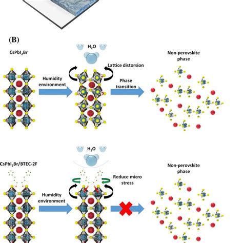 A Schematic Diagram Of Interaction Between Cspbi Br And Btec F B