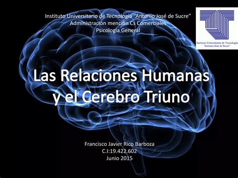 Relaciones Humanas Y El Cerebro Triuno PPT Descarga Gratuita