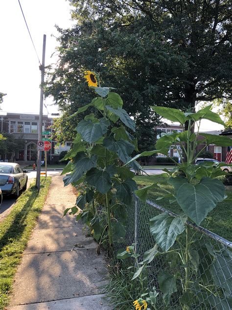 119 best East Nashville images on Pholder | Nashville, Analog and Beards