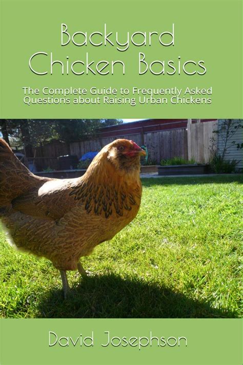 Backyard Chicken Basics The Complete Guide To Frequently Asked