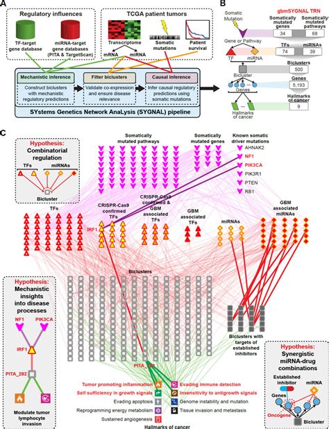 The Systems Genetics Network Analysis Sygnal Pipeline And The