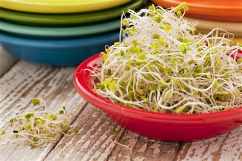 great health benefits  broccoli sprouts health detox vitamins