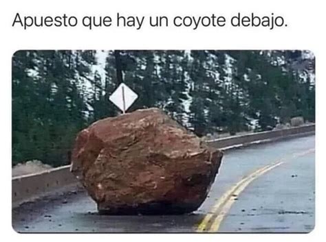 Coyote Meme Subido Por Gelemi Memedroid