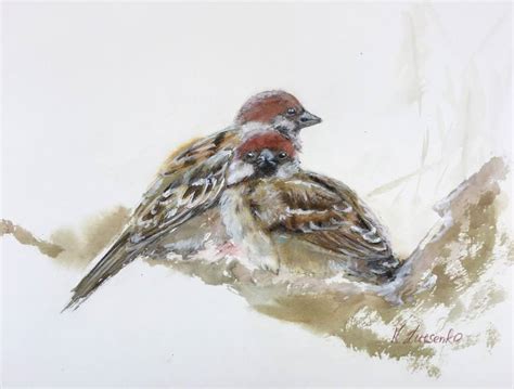 WATERCOLOUR BIRD SPARROW REALISM A4 SMALL PAINTING CHEEKY Painting By