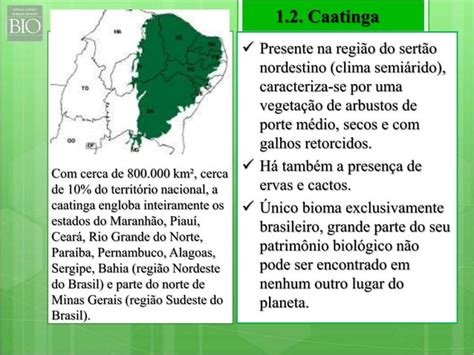 Biomas Do Brasil Ecossistemas Terrestres E Ecossistemas Aquáticos Ppt