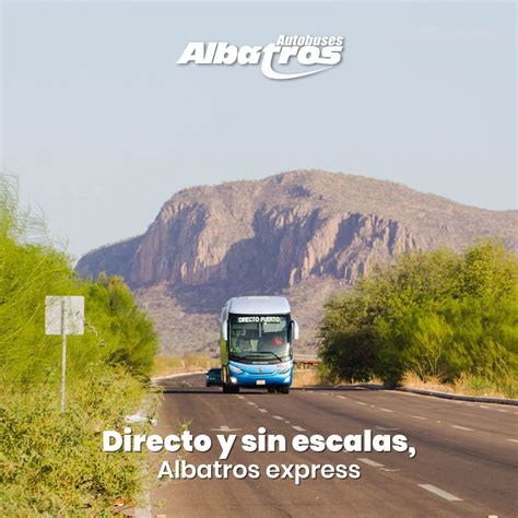 Albatros Autobuses Compra Tus Boletos De Autob S En L Nea