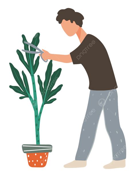 El Cuidado De Las Plantas 2