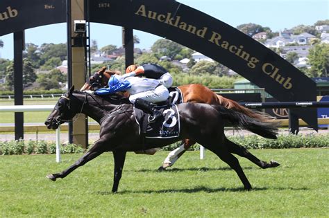 Celebrating Auckland Cup Week® Osullivan Derby Success