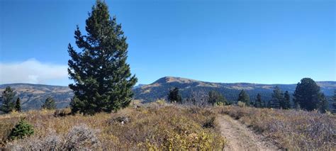 Fs 80200 Cedar Hollow North 1 Utah Gps Trail Map Conditions