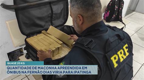 Quase Kg Quantidade De Maconha Apreendida Em Nibus Na Fern O Dias