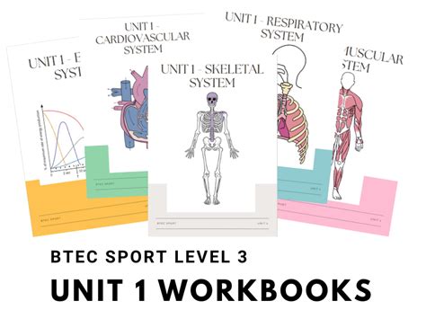 Btec Sport Level 3 Unit 1 Workbooks Teaching Resources