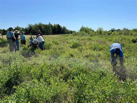 Caddo National Grasslands Hike Npat