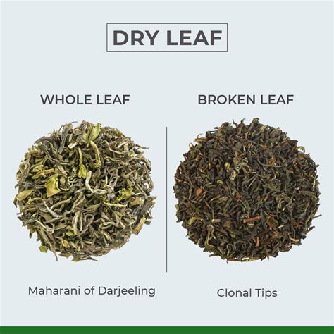 Whole Leaf Tea A Tea Lovers Choice Gopaldhara Teas