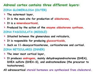 ADRENAL HORMONES ITS PREPARATIONS PPT