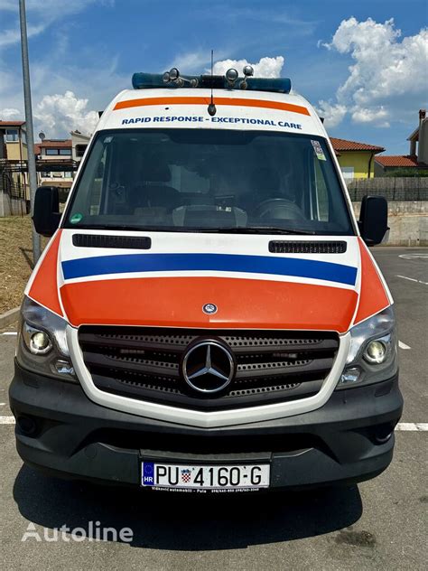 Mercedes Benz Sprinter 316 Rettungswagen Kaufen Kroatien Pula WV41237