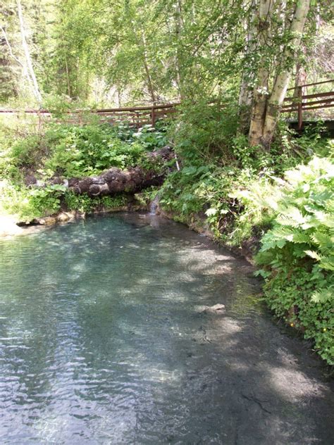 Liard Hot Springs The Road Chose Me