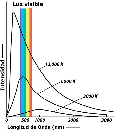 Significado de cuerpo negro Definición ejemplos temperatura y planck