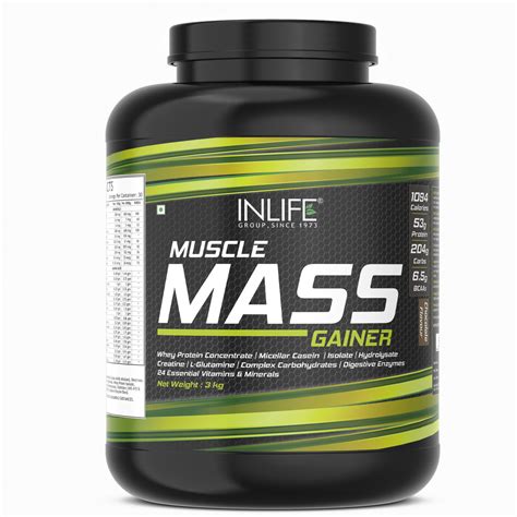 Buy Inlife Muscle Mass Gainer With Whey Protein Powder Bodybuilding Supplement 3 Kg Chocolate