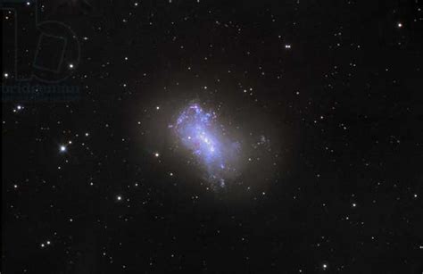 Galaxy NGC 4449 in Hunting Dogs - Dwarf irregular galaxy by