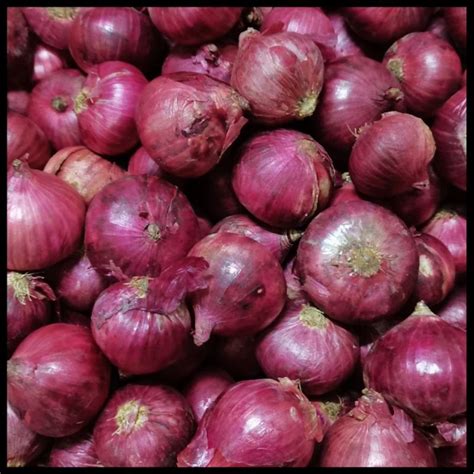 Local Sibuyas Pula Red Onion Shopee Philippines