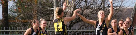 Netball Player Profiles Albury Tigers