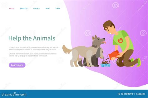 Helping Animals, Volunteering Man Feeding Pet Stock Vector ...