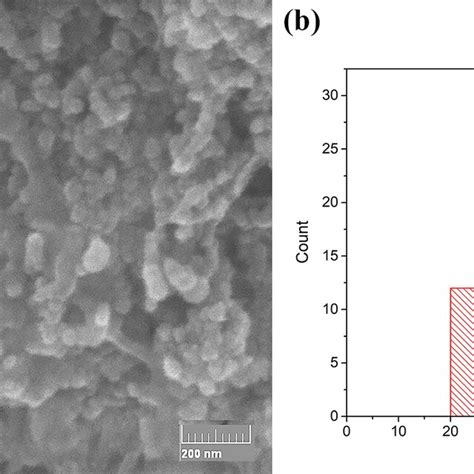 A The Sem Micrographs Of Zro2 Particles And B Diameter Download Scientific Diagram