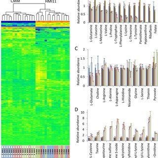 Growth Curves Of T Brucei Cultures Grown In Nutrient Depleted Medium