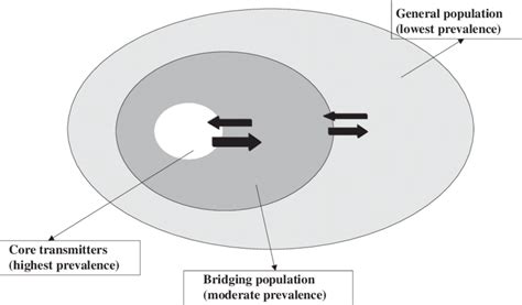 The Structure Of Sexual Networks Reproduced With Permission From Download Scientific Diagram