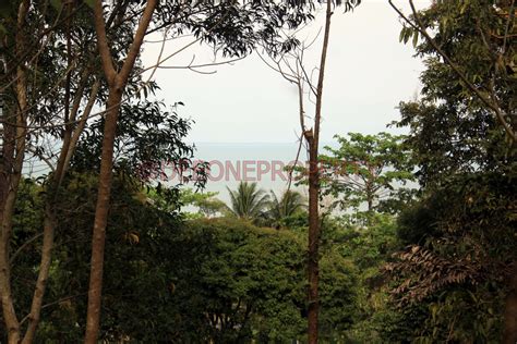 2 Rai Sea View Land On Hillside For Sale North East Coast Koh Chang