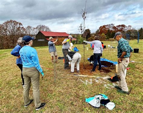 Projects Add Trees To County Parks Charlottesville Area Tree Stewards