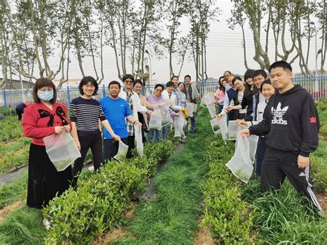 休闲所党支部与科研基地处党支部联合开展“助农耕 采新茶”志愿服务活动