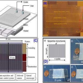 Continuous Flow Based Microfluidic PCR Devices A A Schematic