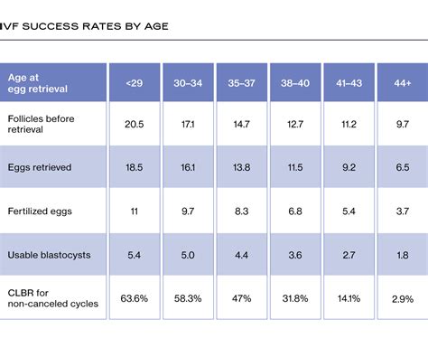 What To Expect Before During And After Egg Retrieval