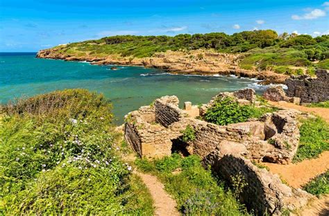 Ruines Romaines De Tipaza La D Couverte Des D Cors Pittoresques