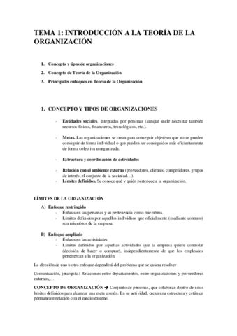 TEMA 1 Teoria De La Organizacion Pdf Pdf