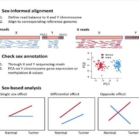 Methodological Approach To Study Sex Differences In Genomics A