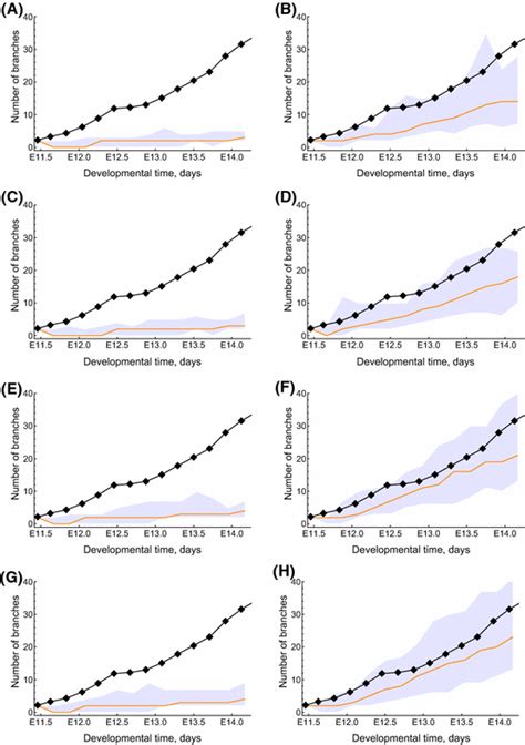 The Effect Of Different Gdnf Signalling Mechanisms On Explant