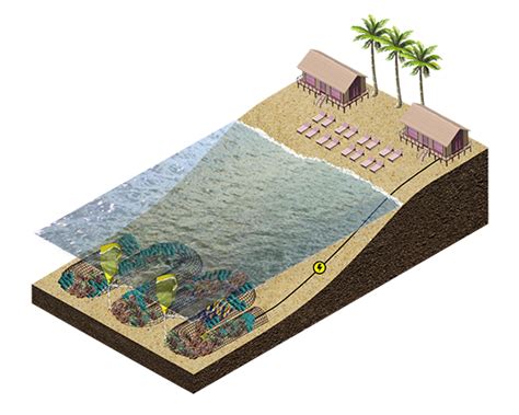 CCell A Bio Inspired Solution To Coastal Erosion The Marine Diaries