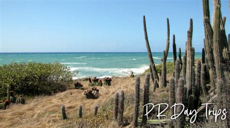 Vereda Meseta Coastal Trail Guanica Dry Forest Prdaytrips