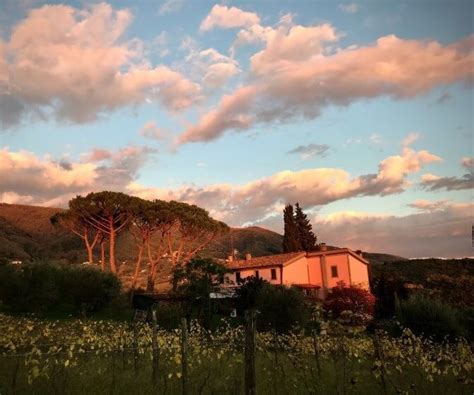 Destinazioni La Piana Di Lucca