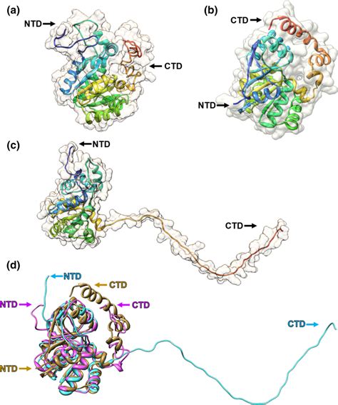 In Silico Predicted Tertiary Structures Of WecG A ITASSER Predicted