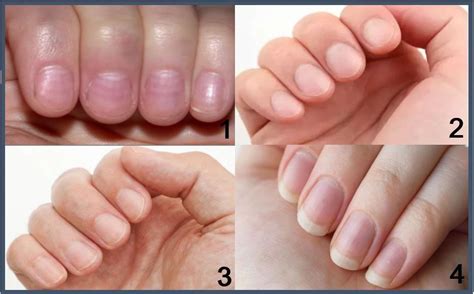 18 How Much Is A Male Manicure PNG Buyingspydercoszaboflyy