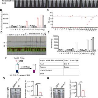 Pdf Sensitive And Specific Exonuclease Iii Assisted Recombinase Aided