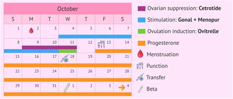 What Medications Are Used For Ovarian Stimulation