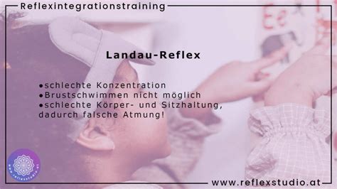 Landau - Reflex Studio